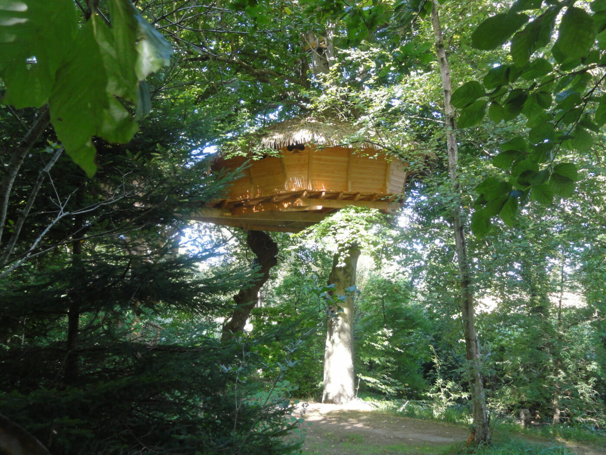 The Gunnéra hut. Pléhédel. Bretagne
