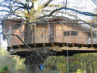 The Gunnéra hut. Pléhédel. Bretagne