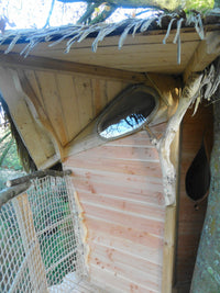 The Gunnéra hut. Pléhédel. Bretagne
