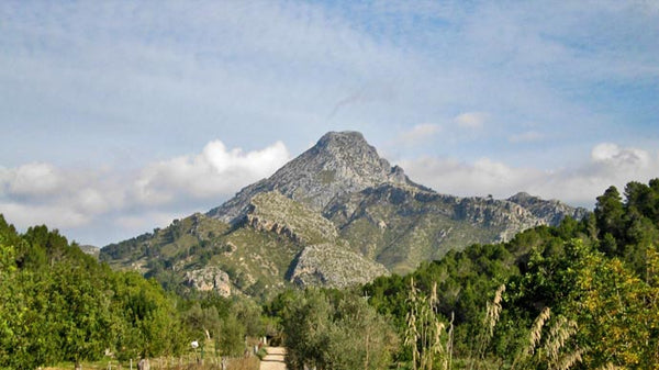 Hiking GALATZÓ Mallorca .Medium level