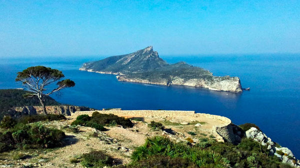Hiking LA TRAPA Mallorca. Initiation level