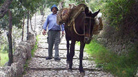 Hiking CUBER - BINIARAIX Mallorca. Initiation level