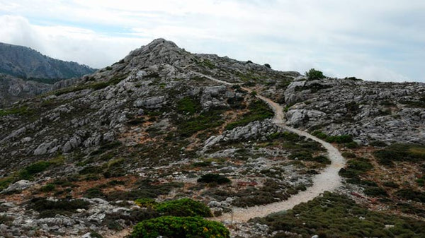 Hiking CAMÍ DE S'ARCHIDUC Mallorca. Medium level