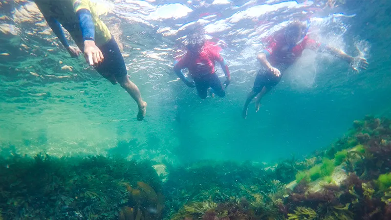 Newquay Paddleboard & Snorkel Adventure